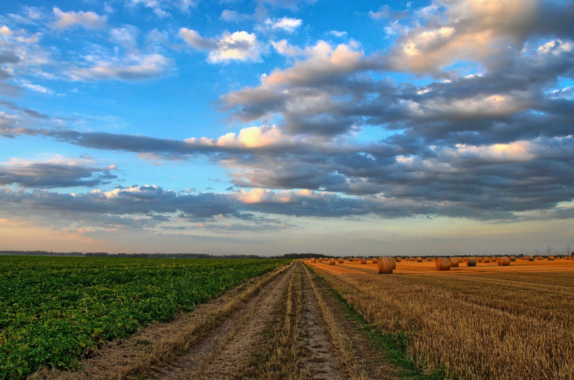 What Factors Affect the Farm Machinery Needed